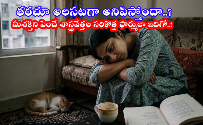 Boost Your Energy : తరచూ అలసటగా అనిపిస్తోందా..? మీ శక్తిని పెంచే శాస్త్రవేత్తల సరికొత్త ఫార్ములా ఇదిగో..!