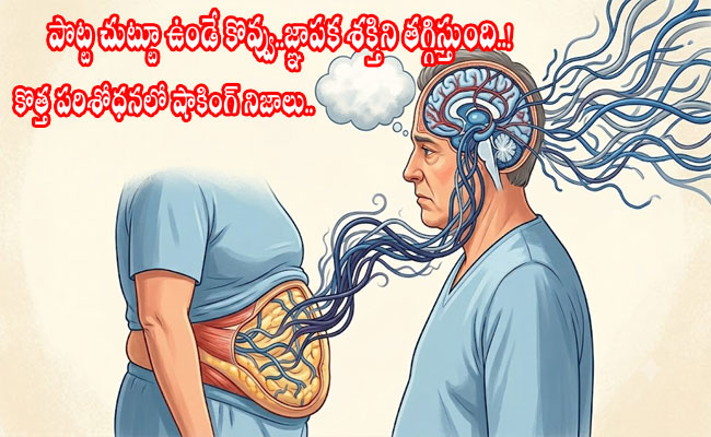 Belly Fat May Reduce Memory Power : పొట్ట చుట్టూ ఉండే కొవ్వు.. జ్ఞాపక శక్తిని తగ్గిస్తుంది..! కొత్త పరిశోధనలో షాకింగ్ నిజాలు..
