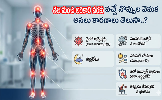 Real Reasons Behind Body Pains : తల నుంచి అరికాలి వరకు వచ్చే నొప్పుల వెనుక అసలు కారణాలు తెలుసా..? 