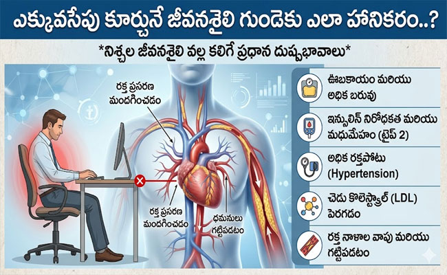 Sedentary Lifestyle : ఎక్కువసేపు కూర్చునే జీవనశైలి గుండెకు ఎలా హానికరం..? 