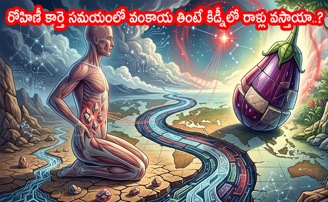 Rohini Karthi : రోహిణీ కార్తె సమయంలో వంకాయ తింటే కిడ్నీలో రాళ్లు వస్తాయా..? 