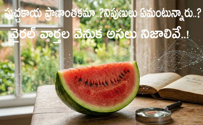 Dangerous Watermelon : పుచ్చకాయ ప్రాణాంతకమా..? నిపుణులు ఏమంటున్నారు..? వైరల్ వార్తల వెనుక అసలు నిజాలివే..!