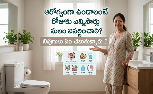 Healthy habit : రోజుకు ఎన్నిసార్లు మలవిసర్జన చేస్తే ఆరోగ్యంగా ఉన్నట్లు..? నిపుణులు ఏం చెబుతున్నారు..?