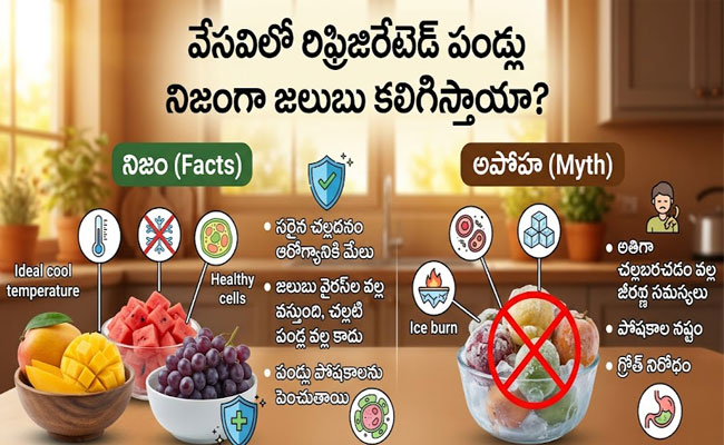 Refrigerated Fruits : సమ్మర్ లో ఫ్రిజ్‌లో పెట్టిన పండ్లు తింటే నిజంగానే జలుబు వస్తుందా..? 