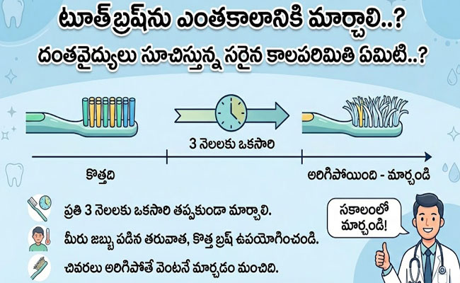 Oral health care : టూత్‌బ్రష్‌ను ఎంతకాలానికి మార్చాలి..? దంతవైద్యులు సూచిస్తున్న సరైన కాలపరిమితి ఏమిటి..? 