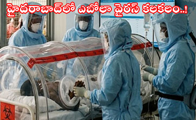 Ebola Virus Scare in Hyderabad : హైదరాబాద్‌లో ఎబోలా వైరస్ కలకలం..! సుడాన్ యువకుడికి అనుమానిత లక్షణాలు.. గాంధీ ఆసుపత్రికి తరలింపు.. 