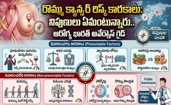 Risk of Breast Cancer : రొమ్ము క్యాన్సర్ ముప్పునకు ఇవే కారణమట.. నిపుణులు ఏమంటున్నారంటే..?