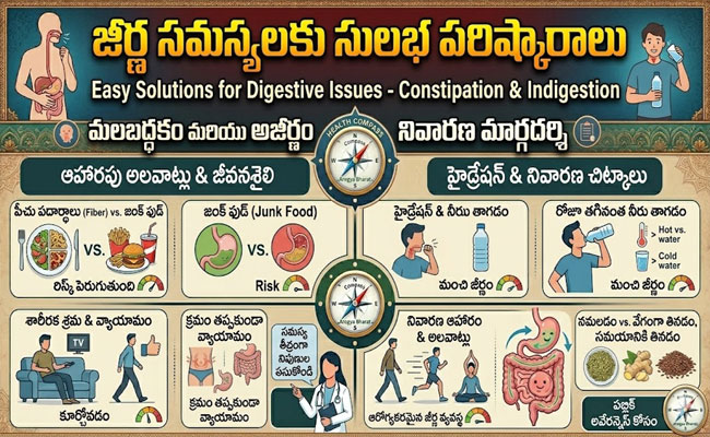 Digestive Issues : జీర్ణక్రియ సమస్యలు వేధిస్తున్నాయా..? మలబద్ధకం, అజీర్తికి చెక్ పెట్టే చిట్కాలు ఇవిగో..!
