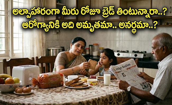 Daily Breakfast Bread: అల్పాహారంగా మీరు రోజూ బ్రెడ్ తింటున్నారా..? ఆరోగ్యానికి అది అమృతమా.. అనర్థమా..?
