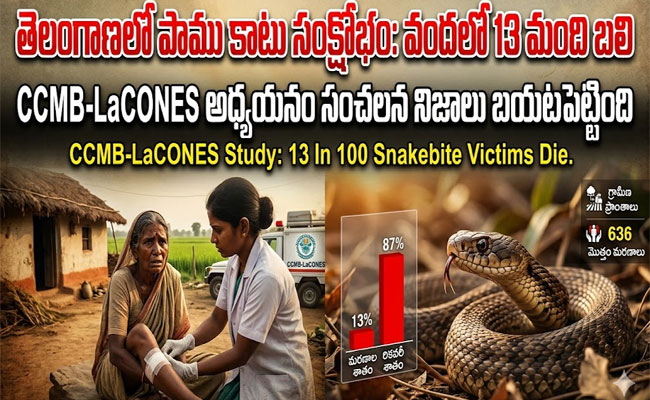 Snakebite Crisis in Telangana : తెలంగాణలో పాముకాటుతో వందలో 13 మంది బలి..! ‘సీసీఎంబీ-లాకోన్స్’ శాస్త్రవేత్తల తాజా అధ్యయనంలో వెల్లడి.. 