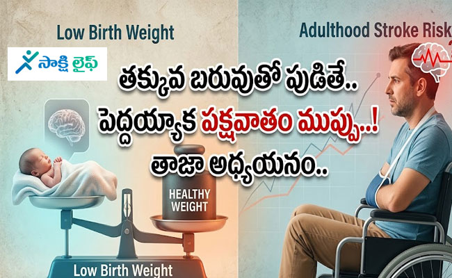 Low Birth Weight : తక్కువ బరువుతో పుడితే.. పెద్దయ్యాక పక్షవాతం ముప్పు..! తాజా అధ్యయనం..