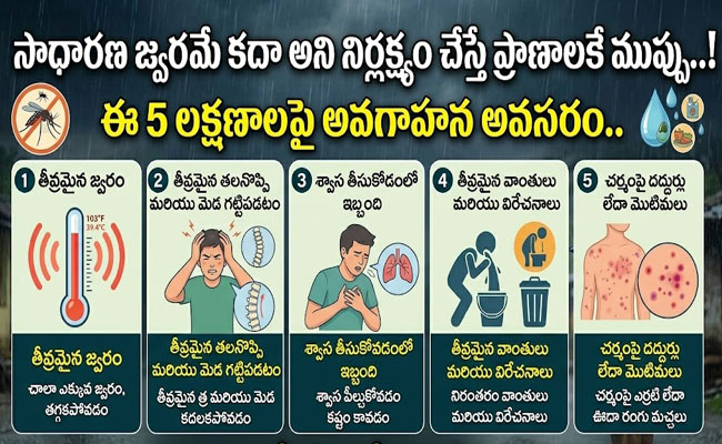 Don’t Ignore Fever : సాధారణ జ్వరమే కదా అని నిర్లక్ష్యం చేస్తే ప్రాణాలకే ముప్పు..! ఈ 5 లక్షణాలపై అవగాహన అవసరం.. 