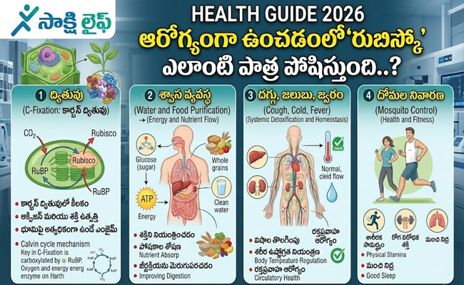 Rubisco : ఆరోగ్యంగా ఉంచడంలో "రుబిస్కో" ఎలాంటి పాత్ర పోషిస్తుంది..? 