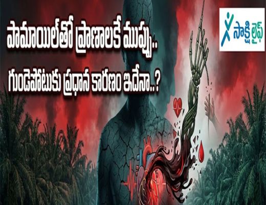 Palm Oil Health Risk : పామాయిల్‌తో ప్రాణాలకే ముప్పు.. గుండెపోటుకు ప్రధాన కారణం ఇదేనా..?