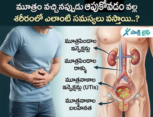 Urine : మూత్రం వచ్చినప్పుడు ఆపుకోవడం వల్ల శరీరంలో ఎలాంటి సమస్యలు వస్తాయి..? 