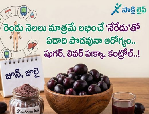 Jamun Fruit Benefits : రెండు నెలలు మాత్రమే లభించే 'నేరేడు'తో ఏడాది పొడవునా ఆరోగ్యం.. షుగర్, లివర్ పక్కా కంట్రోల్..!