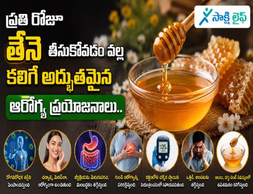 Amazing Health Benefits Honey : ప్రతి రోజూ తేనె తీసుకోవడం వల్ల కలిగే అద్భుతమైన ఆరోగ్య ప్రయోజనాలు..