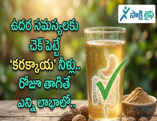 Chebulic Myrobalan Water : ఉదర సమస్యలకు చెక్ పెట్టే 'కరక్కాయ' నీళ్లు.. రోజూ తాగితే ఎన్ని లాభాలో.. 