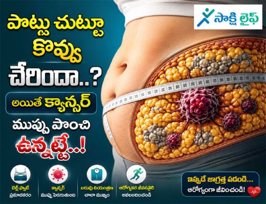Belly Fat problem : పొట్ట చుట్టూ కొవ్వు చేరిందా..? అయితే క్యాన్సర్ ముప్పు పొంచి ఉన్నట్లే..!