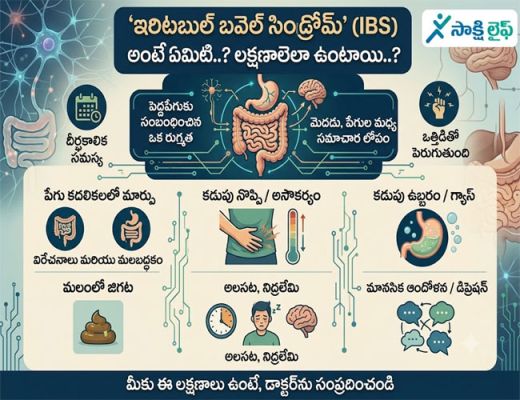 Irritable Bowel Syndrome : ‘ఇరిటబుల్ బవెల్ సిండ్రోమ్’ (IBS) అంటే ఏమిటి..? లక్షణాలెలా ఉంటాయి..?