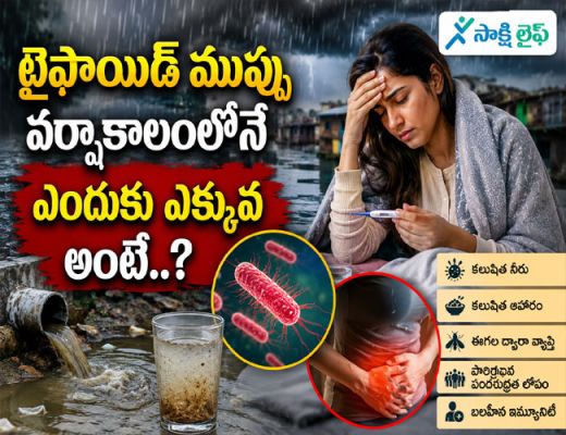 Typhoid : టైఫాయిడ్ ముప్పు వర్షాకాలంలోనే ఎందుకు ఎక్కువ అంటే..?