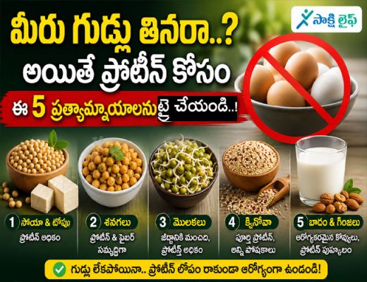 Protein Alternatives : మీరు గుడ్లు తినరా..? అయితే ప్రోటీన్ కోసం ఈ 5 ప్రత్యామ్నాయాలను ట్రై చేయండి..!