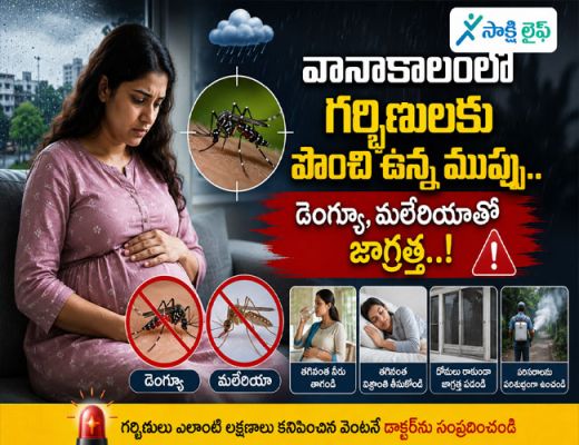 Monsoon Health Alert for Pregnant Women : వానాకాలంలో గర్భిణులకు పొంచి ఉన్న ముప్పు.. డెంగ్యూ, మలేరియాతో జాగ్రత్త..!
