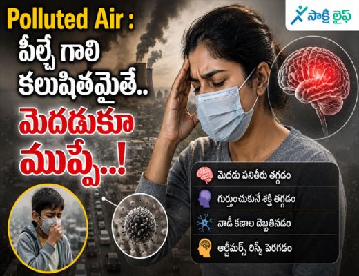 Polluted Air : పీల్చే గాలి కలుషితమైతే.. మెదడుకూ ముప్పే..!