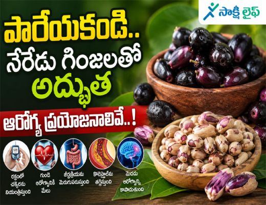 Jamun Seeds : పారేయకండి.. నేరేడు గింజలతో అద్భుత ఆరోగ్యప్రయోజనాలివే..!