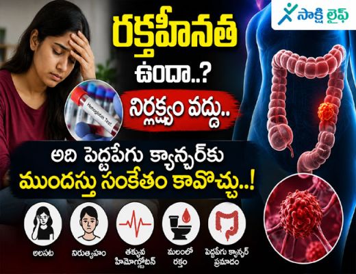 Anemia : రక్తహీనత ఉందా..? నిర్లక్ష్యం వద్దు.. అది పెద్దపేగు క్యాన్సర్‌కు ముందస్తు సంకేతం కావొచ్చు..!