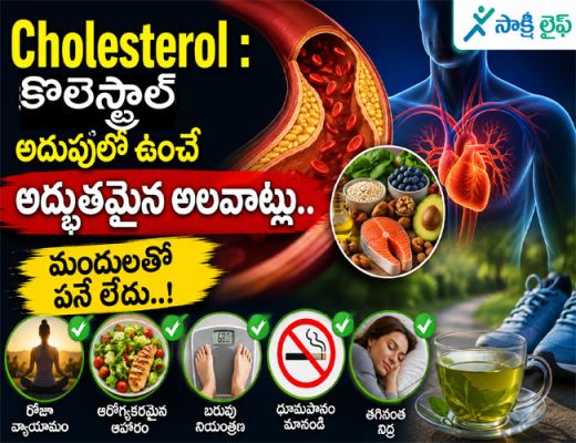 Cholesterol : కొలెస్ట్రాల్‌ను అదుపులో ఉంచే అద్భుతమైన అలవాట్లు.. మందులతో పనే లేదు..!
