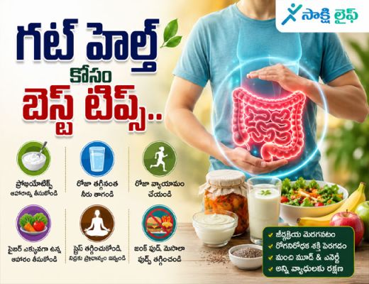 Best Tips for Better Gut Health : గట్ హెల్త్ కోసం బెస్ట్ టిప్స్.. 