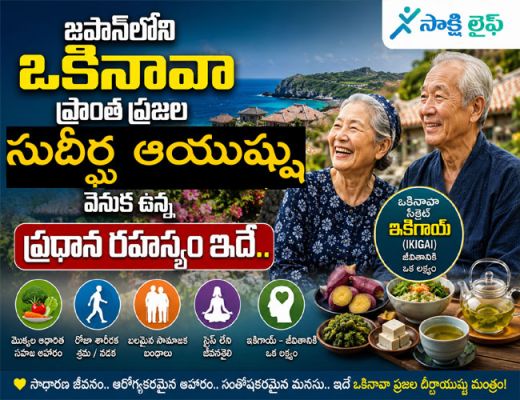 Longevity habits : జపాన్‌లోని ఒకినావా ప్రాంత ప్రజల సుదీర్ఘ ఆయుష్షు వెనుక ఉన్న ప్రధాన రహస్యం ఇదే..  