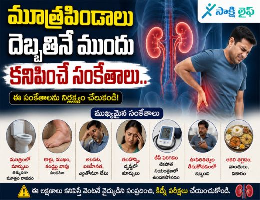 Kidney Damage : మూత్రపిండాలు దెబ్బతినే ముందు కనిపించే సంకేతాలు.. 