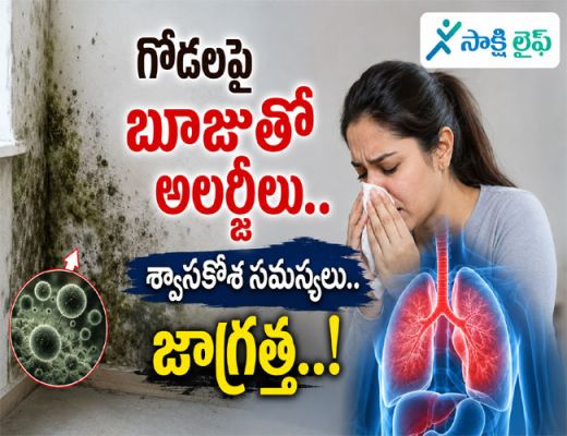 Allergies and Respiratory Problems :  గోడలపై బూజుతో అలర్జీలు.. శ్వాసకోశ సమస్యలు..జాగ్రత్త..!