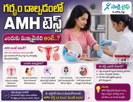Pregnancy Planning : గర్భం దాల్చడంలో AMH టెస్ట్ ఎందుకు ముఖ్యమైనది అంటే..? 