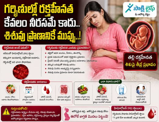 Anemia During Pregnancy : గర్భిణుల్లో రక్తహీనత కేవలం నీరసమే కాదు.. శిశువు ప్రాణానికే ముప్పు..!