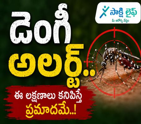 Dengue Alert : డెంగీ అలర్ట్..ఈ లక్షణాలు కనిపిస్తే ప్రమాదమే..!