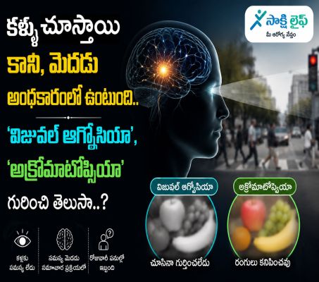 Visual Agnosia and Achromatopsia : కళ్లు చూస్తాయి.. కానీ, మెదడు అంధకారంలో ఉంటుంది.. ‘విజువల్ ఆగ్నోసియా’, ‘అక్రోమాటోప్సియా’ గురించి తెలుసా..?