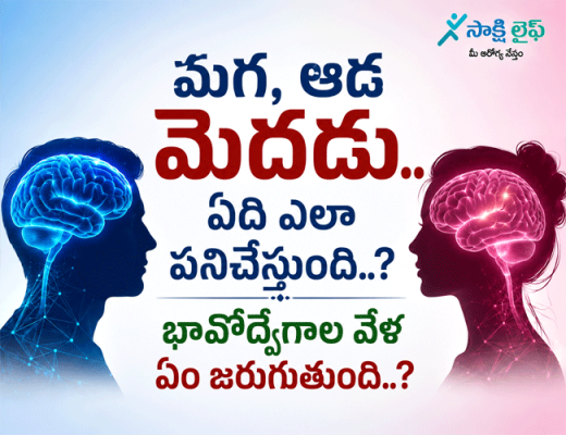 Male vs Female Brain : మగ, ఆడ మెదడు.. ఏది ఎలా పనిచేస్తుంది..? భావోద్వేగాల వేళ ఏం జరుగుతుంది..?