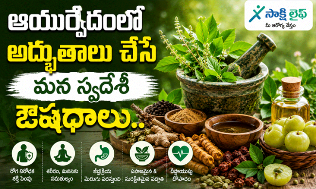 Ayurvedic Medicines : ఆయుర్వేదంలో అద్భుతాలు చేసే మన స్వదేశీ ఔషధాలు.. 