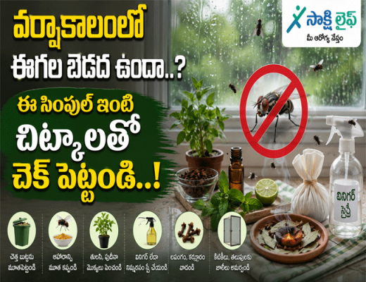 Troubled by Flies During Monsoon : వర్షాకాలంలో ఈగల బెడద ఉందా..? ఈ సింపుల్ ఇంటి చిట్కాలతో చెక్ పెట్టండి..!