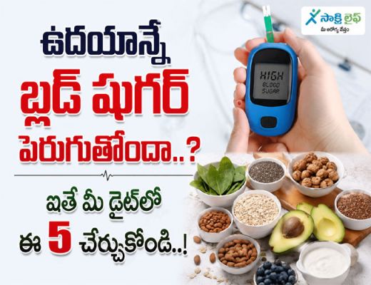 Blood Sugar : ఉదయాన్నే బ్లడ్ షుగర్ పెరుగుతోందా..? ఐతే మీ డైట్‌లో ఈ 5 చేర్చుకోండి..!