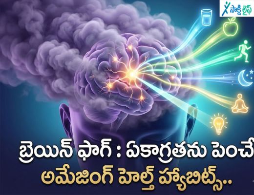 Brain Fog : ఏకాగ్రతను పెంచే అమేజింగ్ హెల్త్ హ్యాబిట్స్ 
