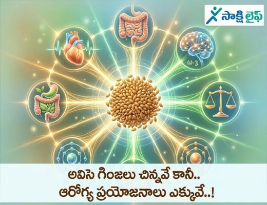 Flaxseeds health benefits : అవిసె గింజలు చిన్నవే కానీ.. ఆరోగ్య ప్రయోజనాలు ఎక్కువే..!