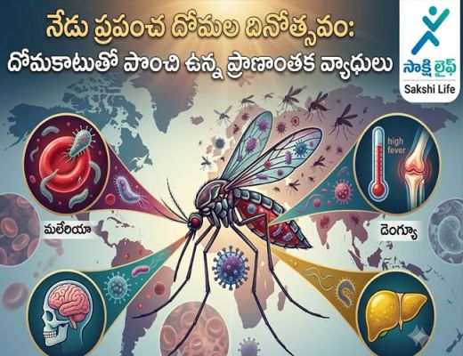 World Mosquito Day : దోమకాటుతో పొంచి ఉన్న ప్రాణాంతక వ్యాధులు..