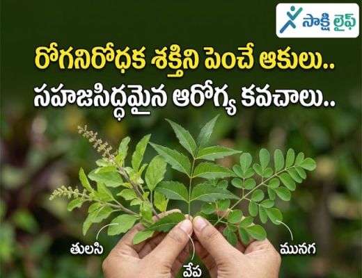 Healthy leaves : రోగనిరోధక శక్తిని పెంచే ఆకులు.. సహజసిద్ధమైన ఆరోగ్య కవచాలు