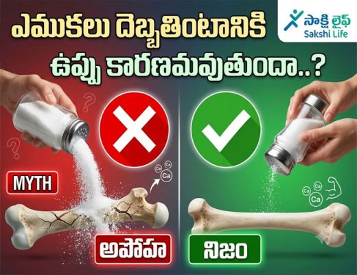 Myths vs. Facts : ఎముకలు దెబ్బతింటానికి ఉప్పు కారణమవుతుందా..? 