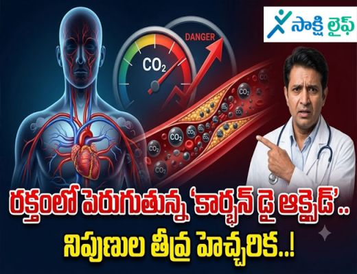 Carbon Dioxide : రక్తంలో పెరుగుతున్న 'కార్బన్ డై ఆక్సైడ్'.. నిపుణుల తీవ్ర హెచ్చరిక..!