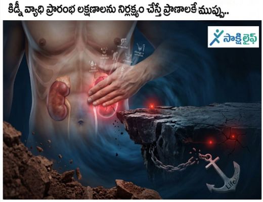 Kidney Disease : కిడ్నీ వ్యాధి ప్రారంభ లక్షణాలను నిర్లక్ష్యం చేస్తే ప్రాణాలకే ముప్పు..